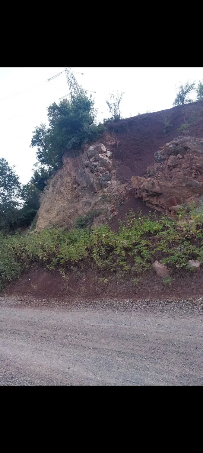 زمین باغی