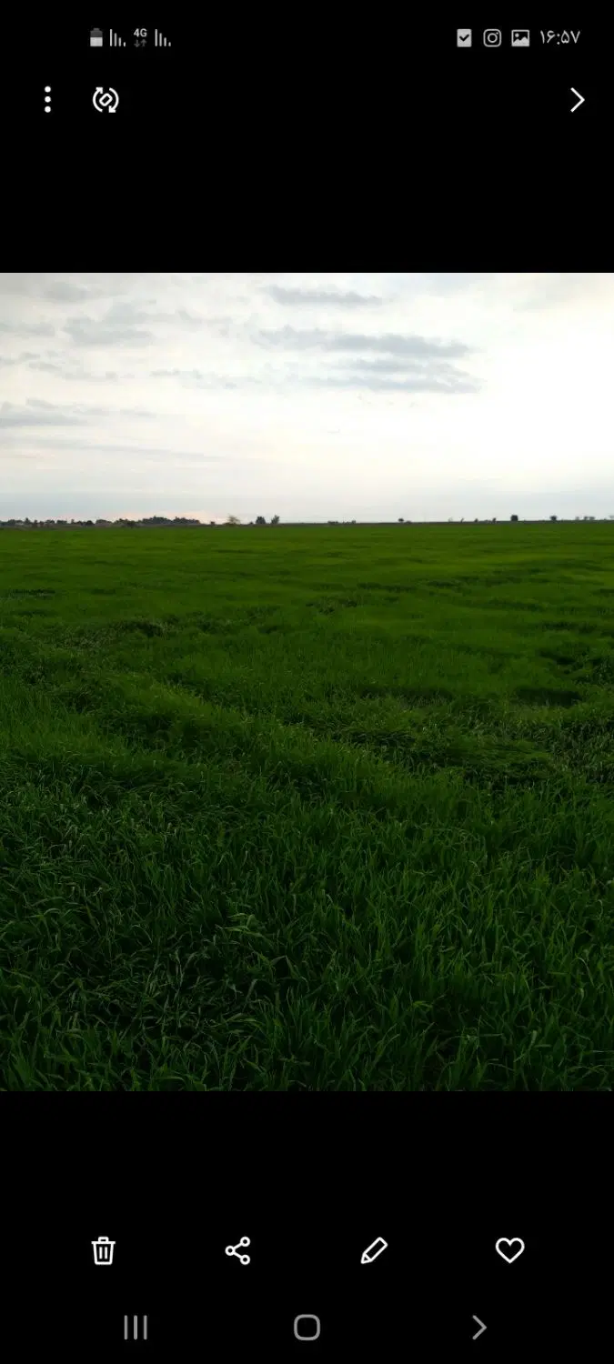 زمین کشاورزی
