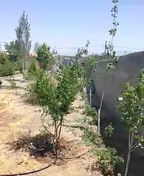باغچه ۵۰۰متری.فروش و معاوضه بامسکونی تجاری