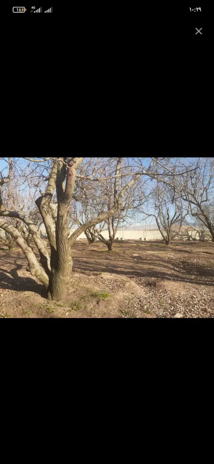 زمین کشاورزی در روستای گاوکش1350متر