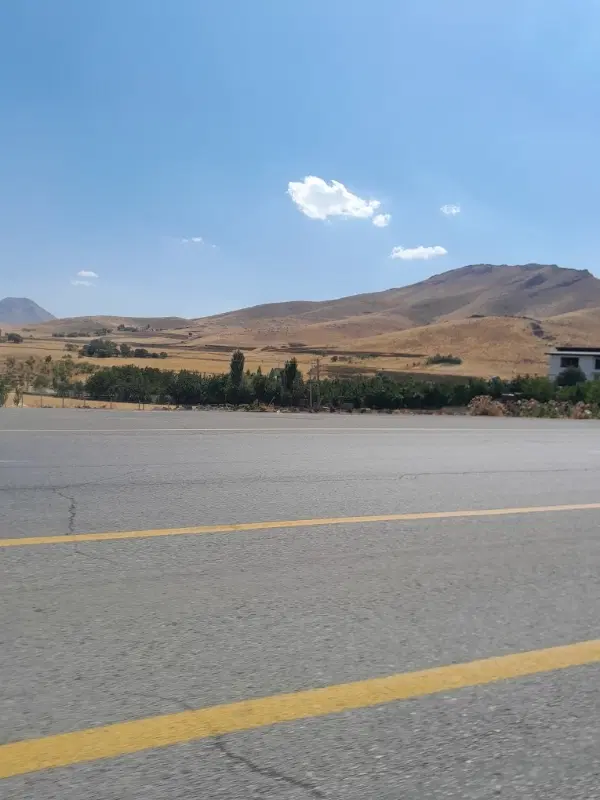 فروش زمین دیم