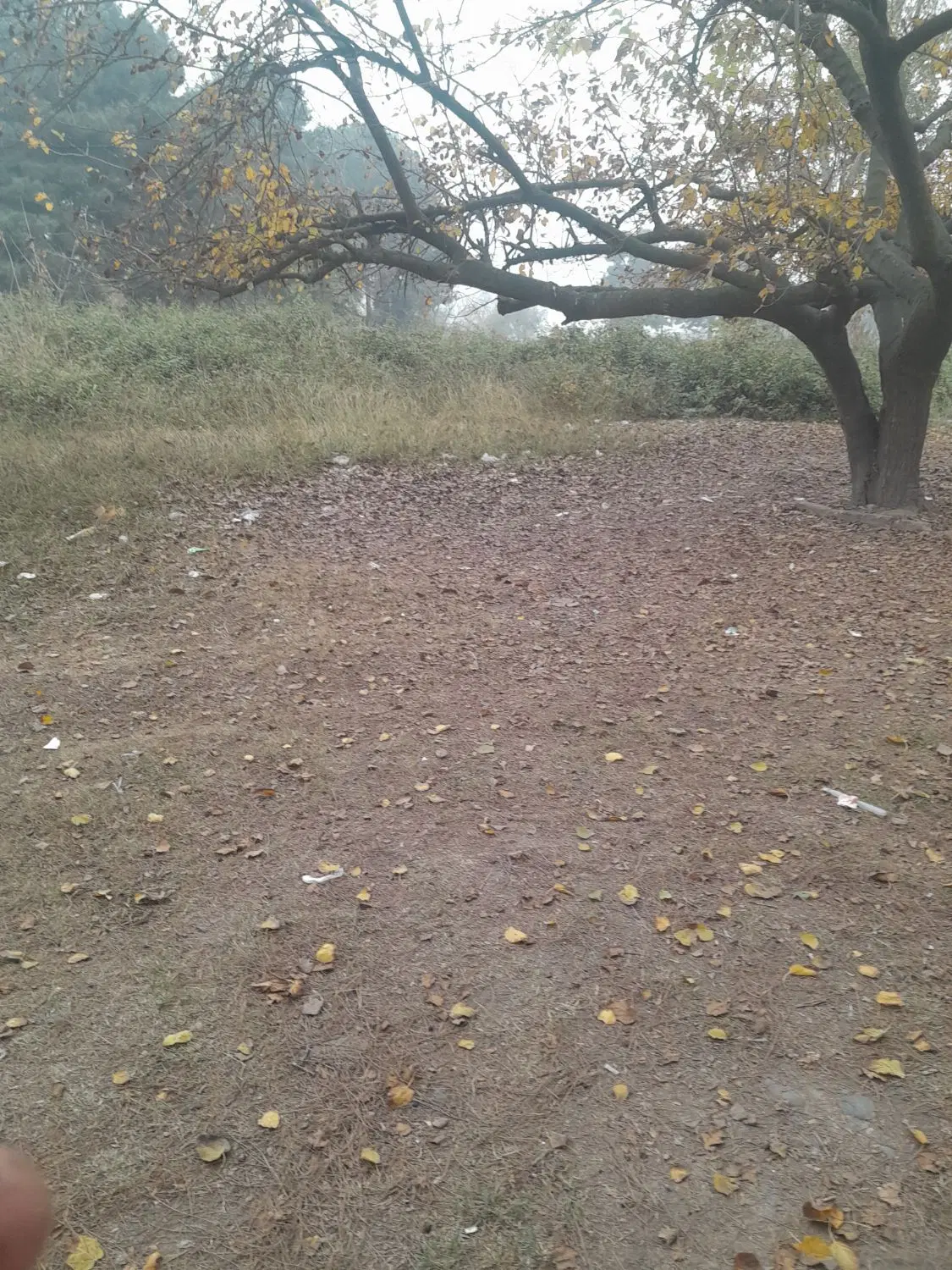 اجاره زمین کشاورزی