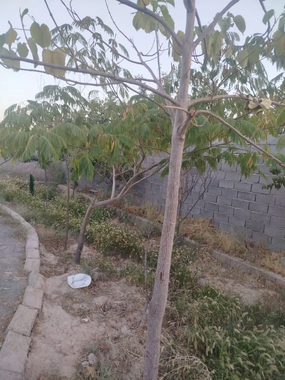 با سلام باغ به مساحت 700متر در روستای نوچاه