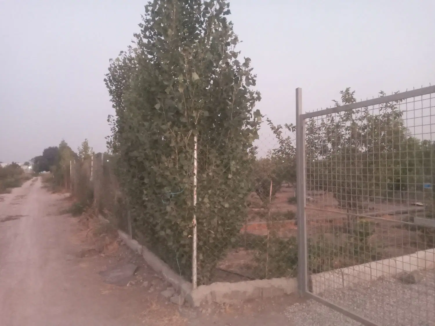 باغچه در روستای سرسبز بختیار