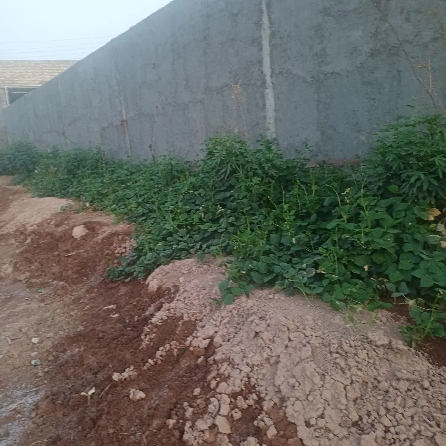 فروش گاراژ 2700 متر مربع