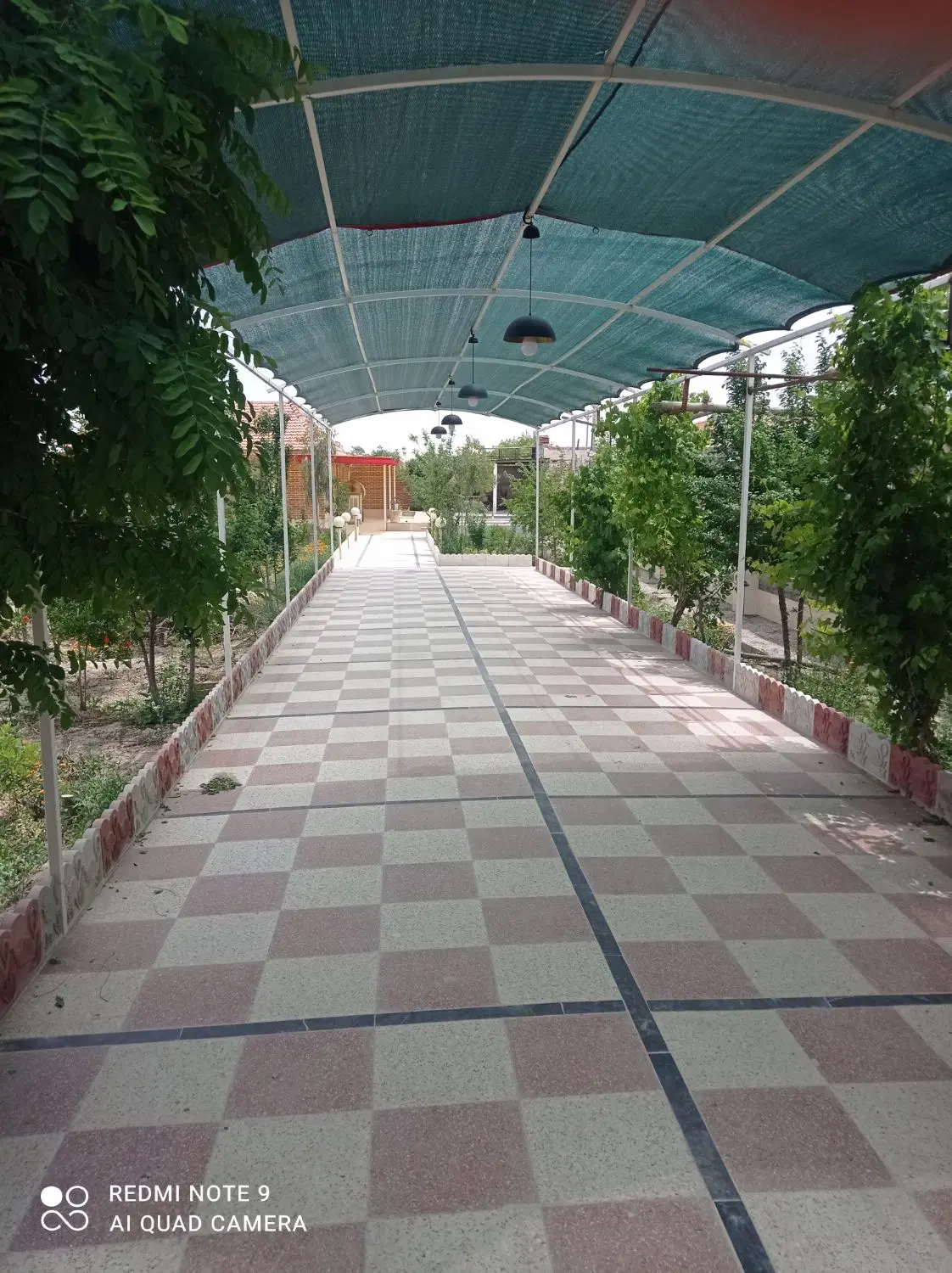 فروش باغ 800متری کنجوان