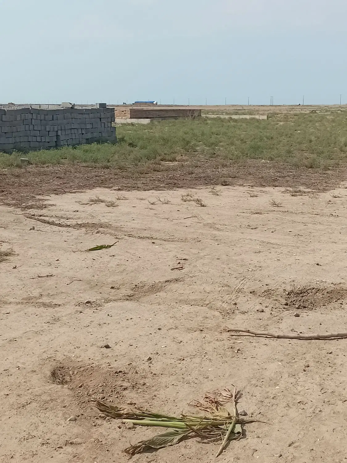 یک قطعه زمین مسکونی
