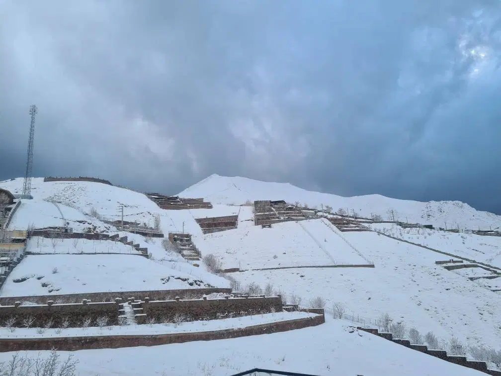 فروش باغ