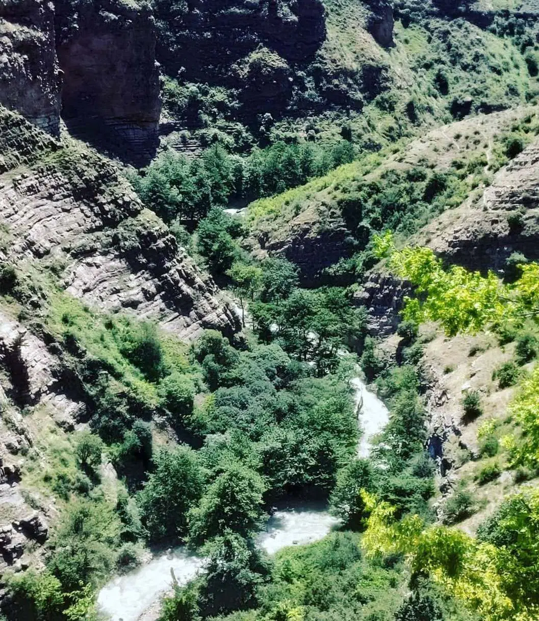 فروش یک قطعه زمین شمال