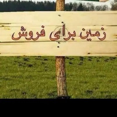 زمین