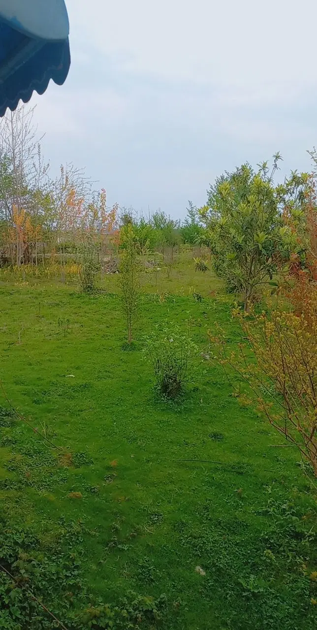 فروش زمین