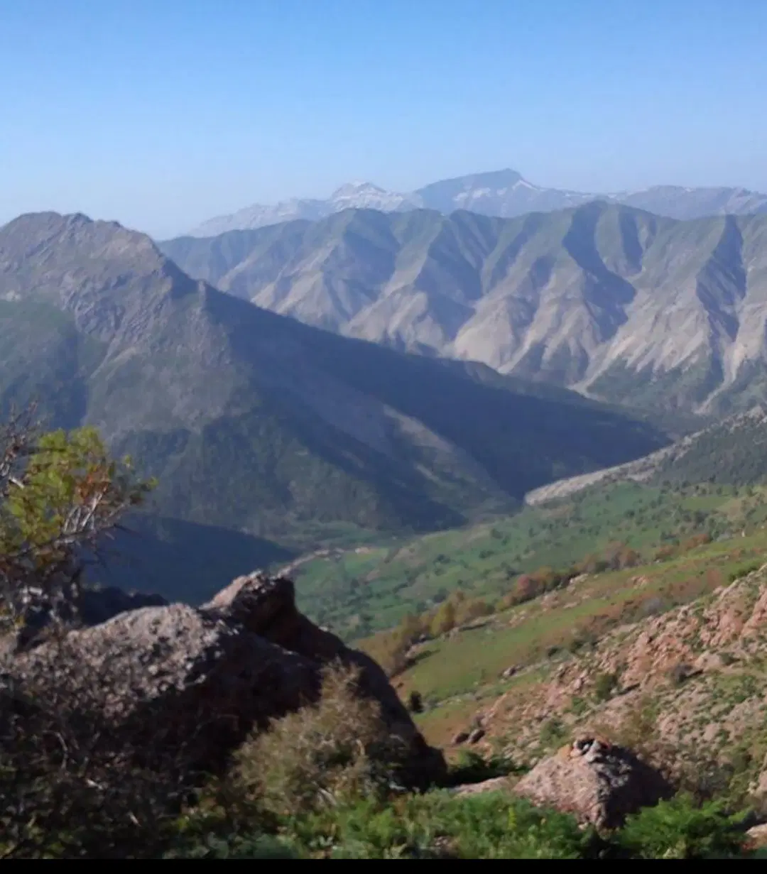 ی قطعه زمین فروشی ناصرالدین