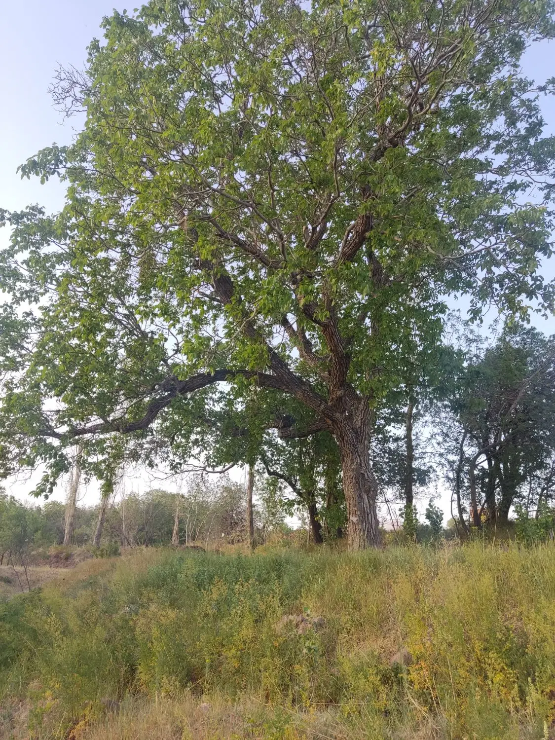 زمین فروشی