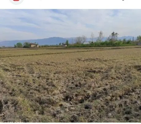 زمین نیشهر