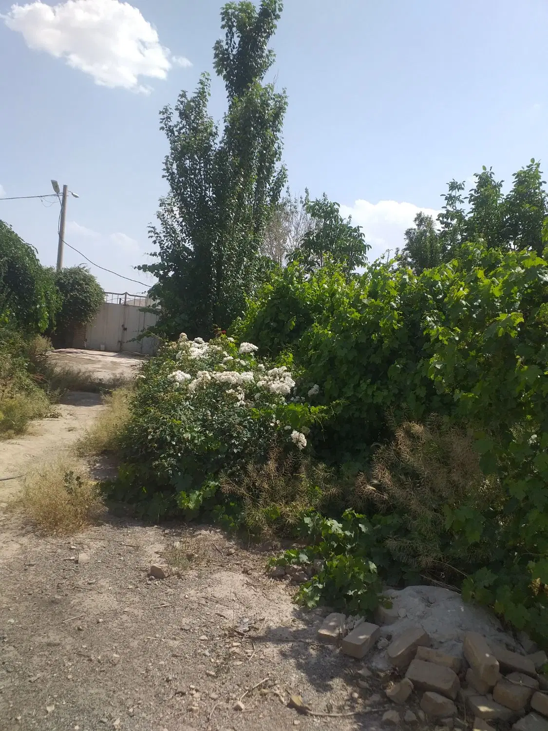 فروش باغ ۱۵ ساله با کنتور آب و برق