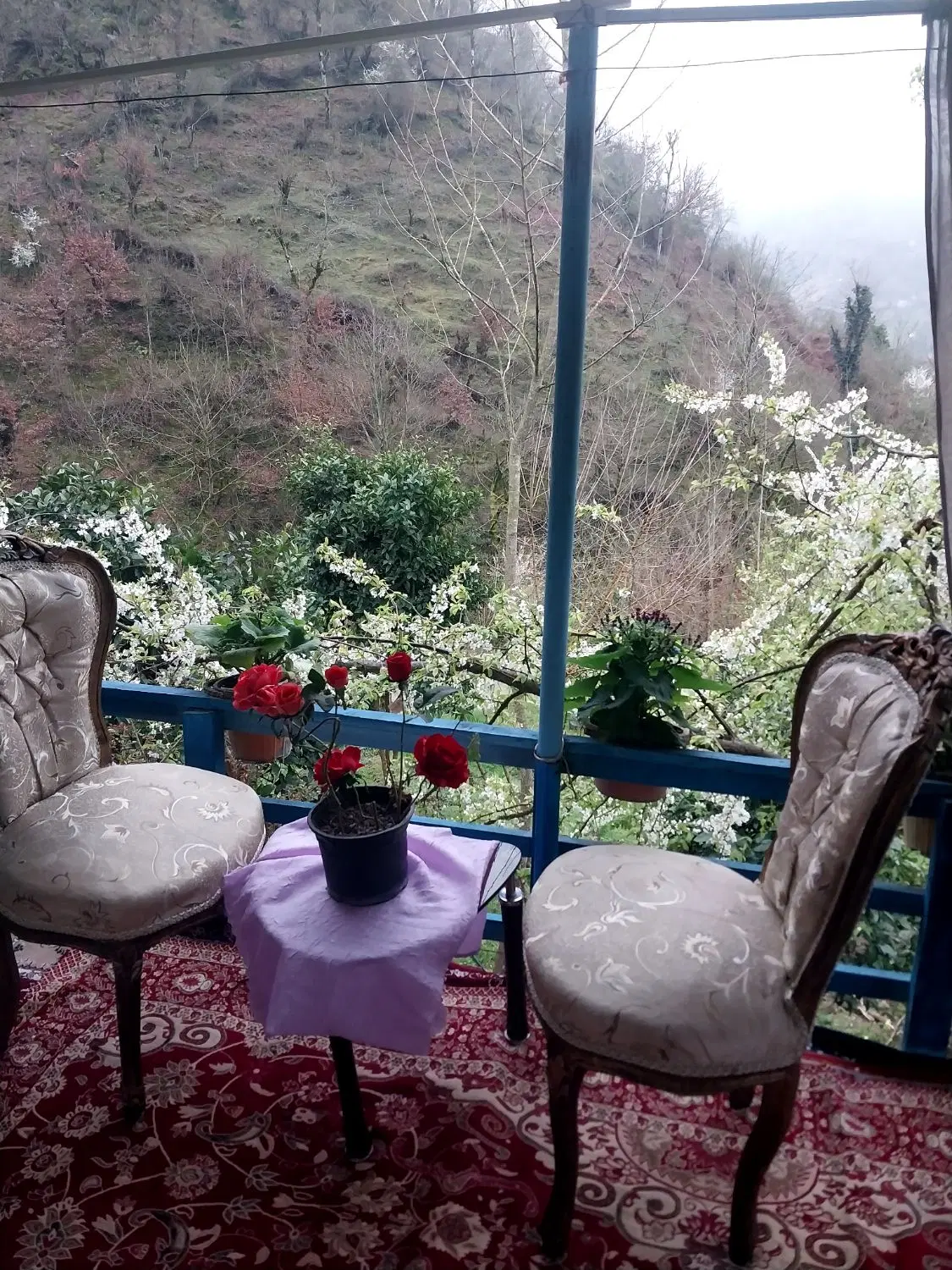 کلبه جنگلی سنتی بلوط