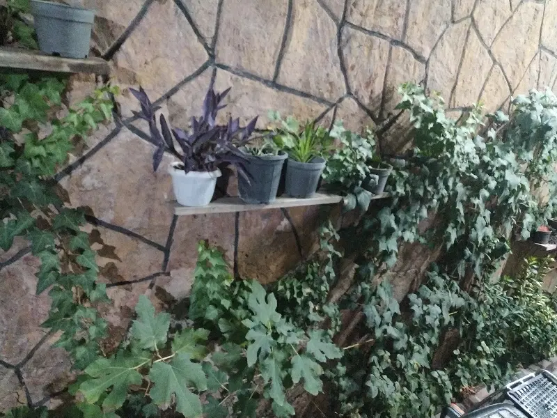 اجاره ویلایی ۱۰۰ متری جاده ملارد