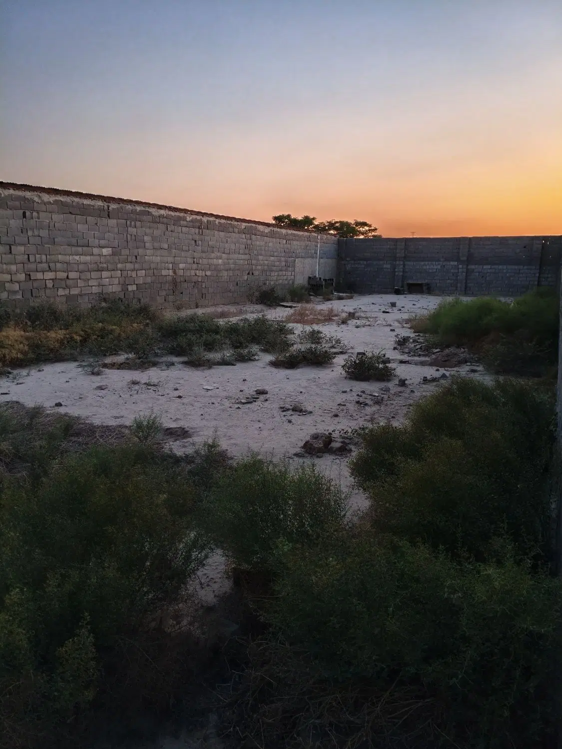 اجاره زمین کشاورزی چهاردیواری به همراه آب و برق