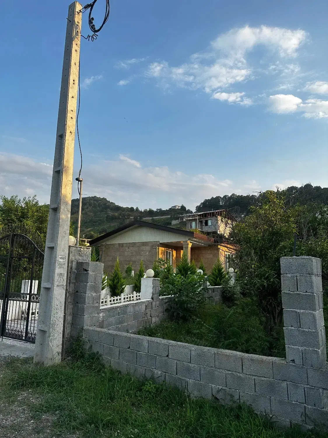 زمین تک برگ خوش نقشه قسطی