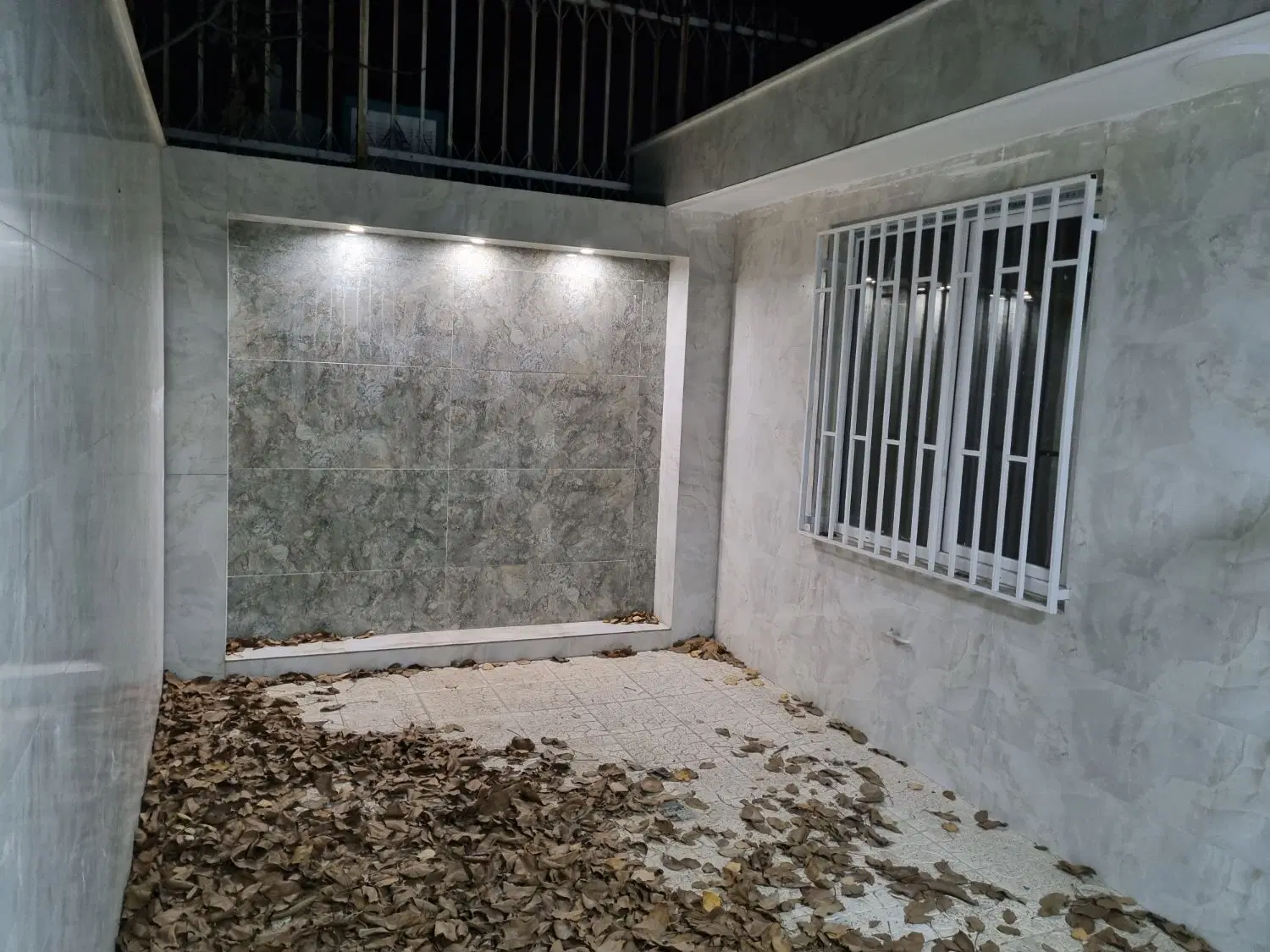 همخانه خانم بی حاشیه