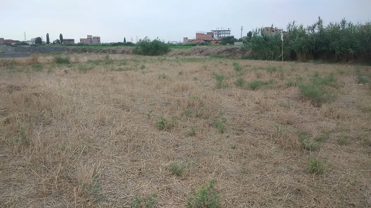 فروش زمین برای ساخت و ساز و سرمایه گذاری