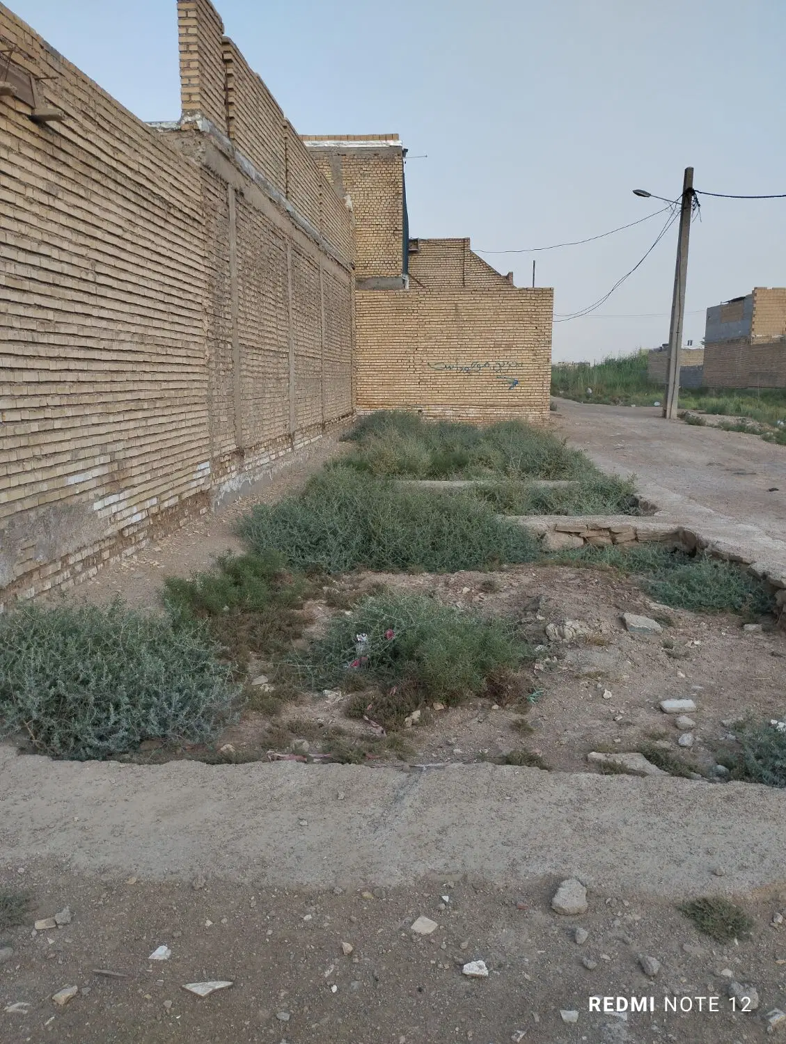زمین
