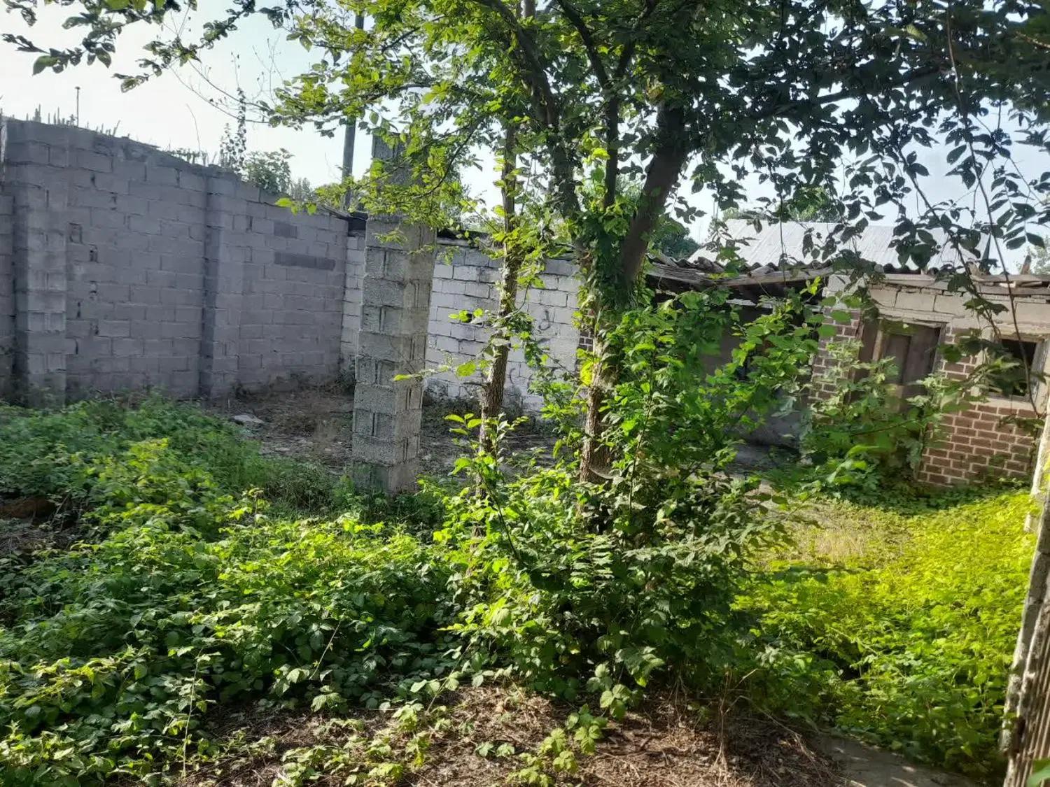 مغازه و زمین مسکونی