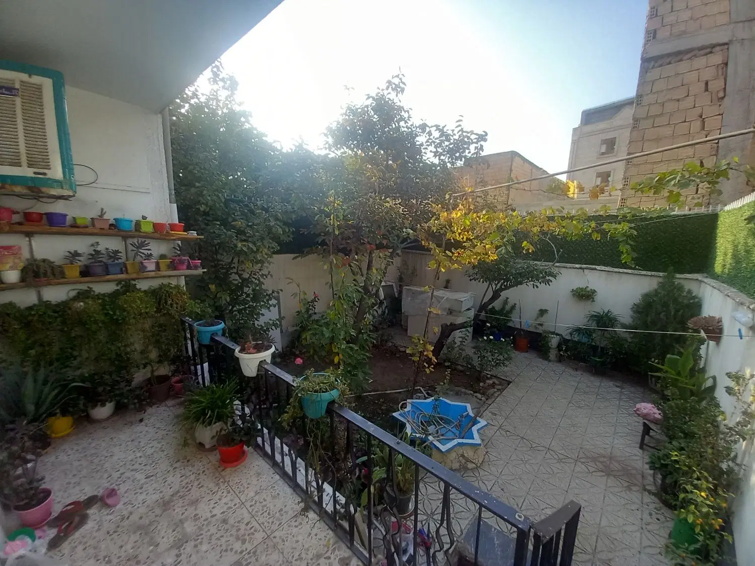ملک حیاط دار