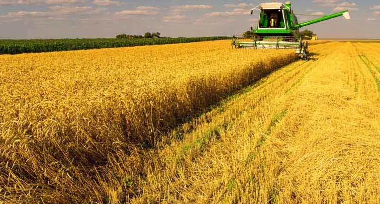 یک قطعه زمین واقع در شهر اسفرورین