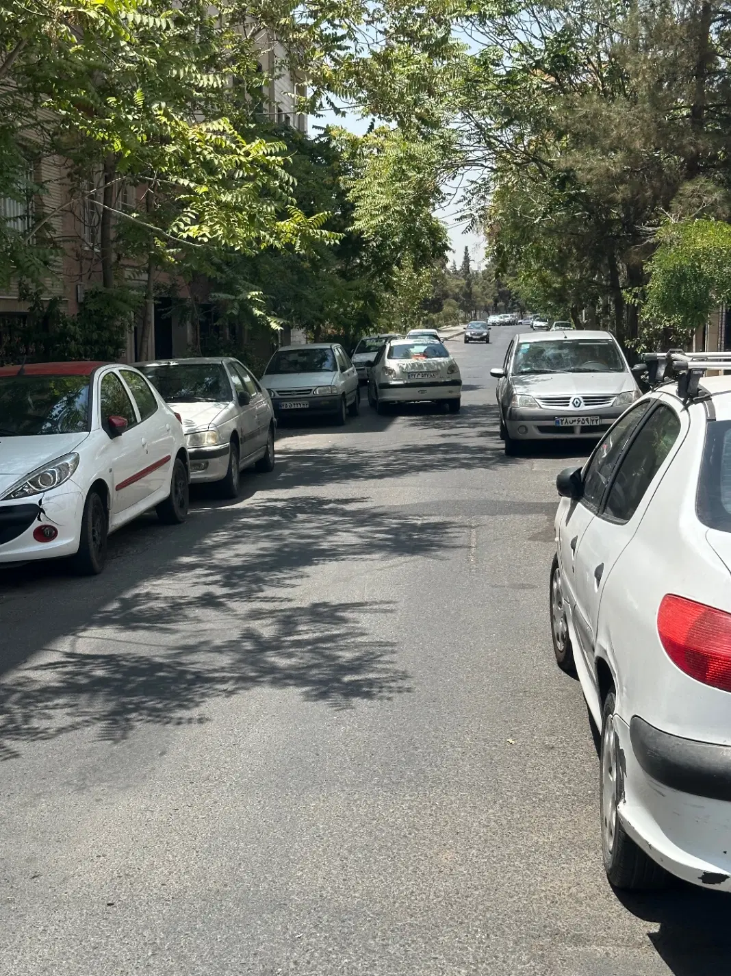 ۷۸ متر_مرزداران،ابراهیمی