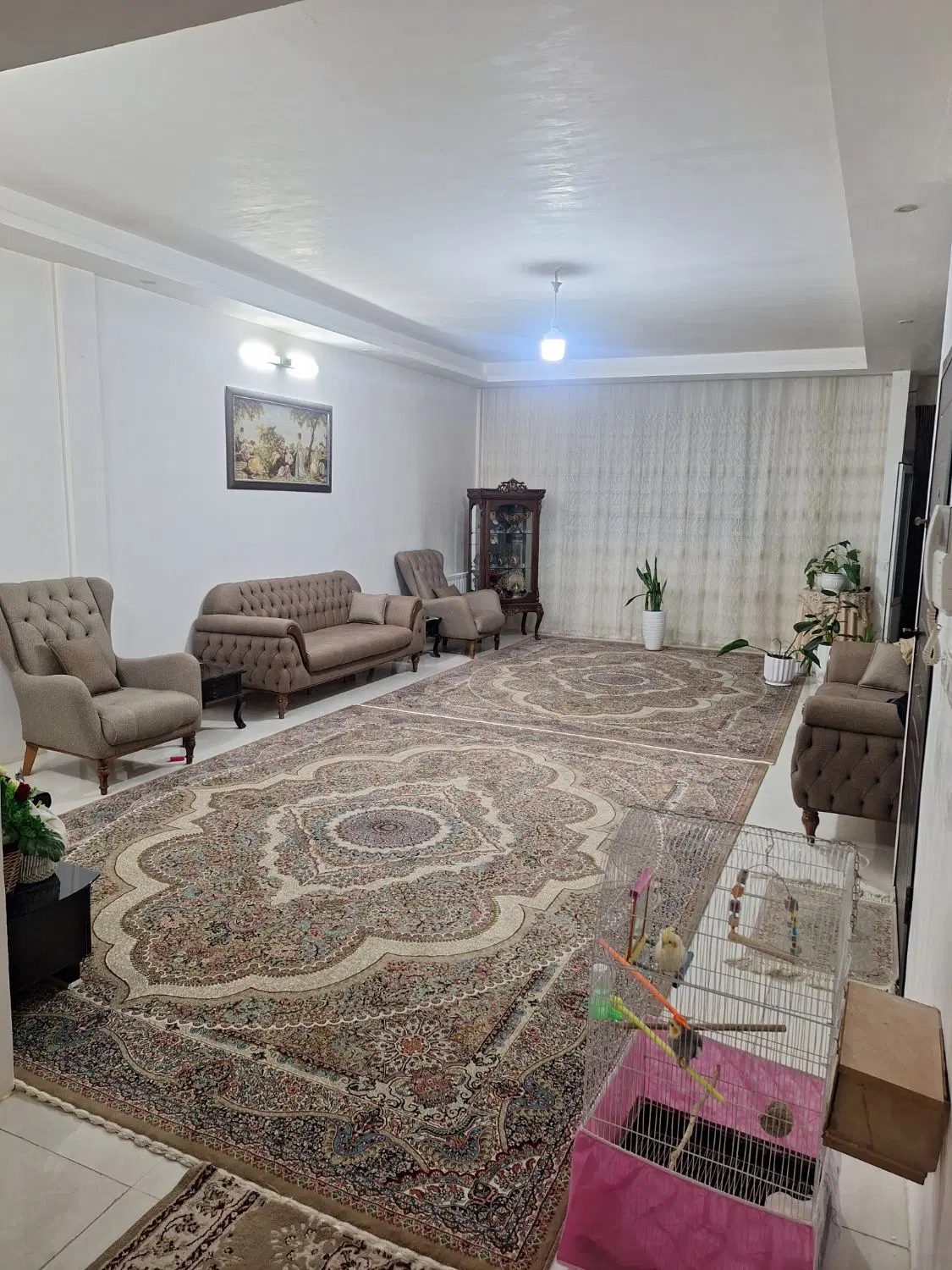 ۱۱۵ متر توس ۳۳،شکری زوج