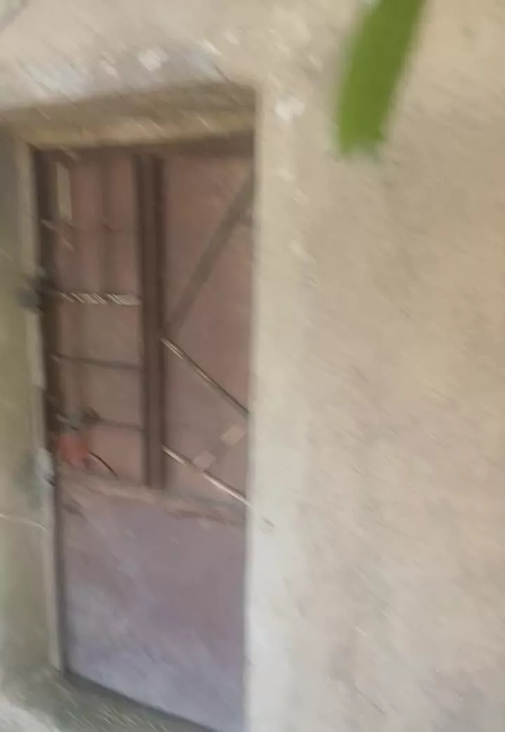 باغ