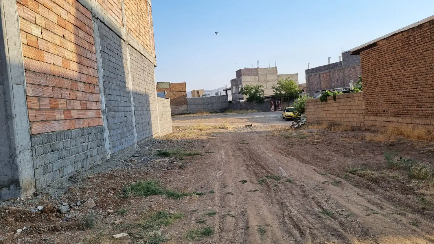 زمین تازه آباد