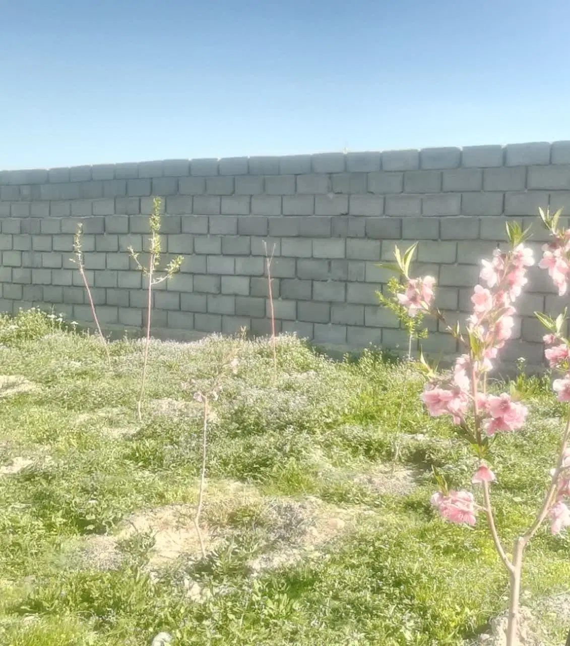 باغ شبستر