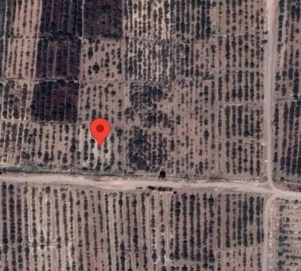 فروش زمین پسته ایی