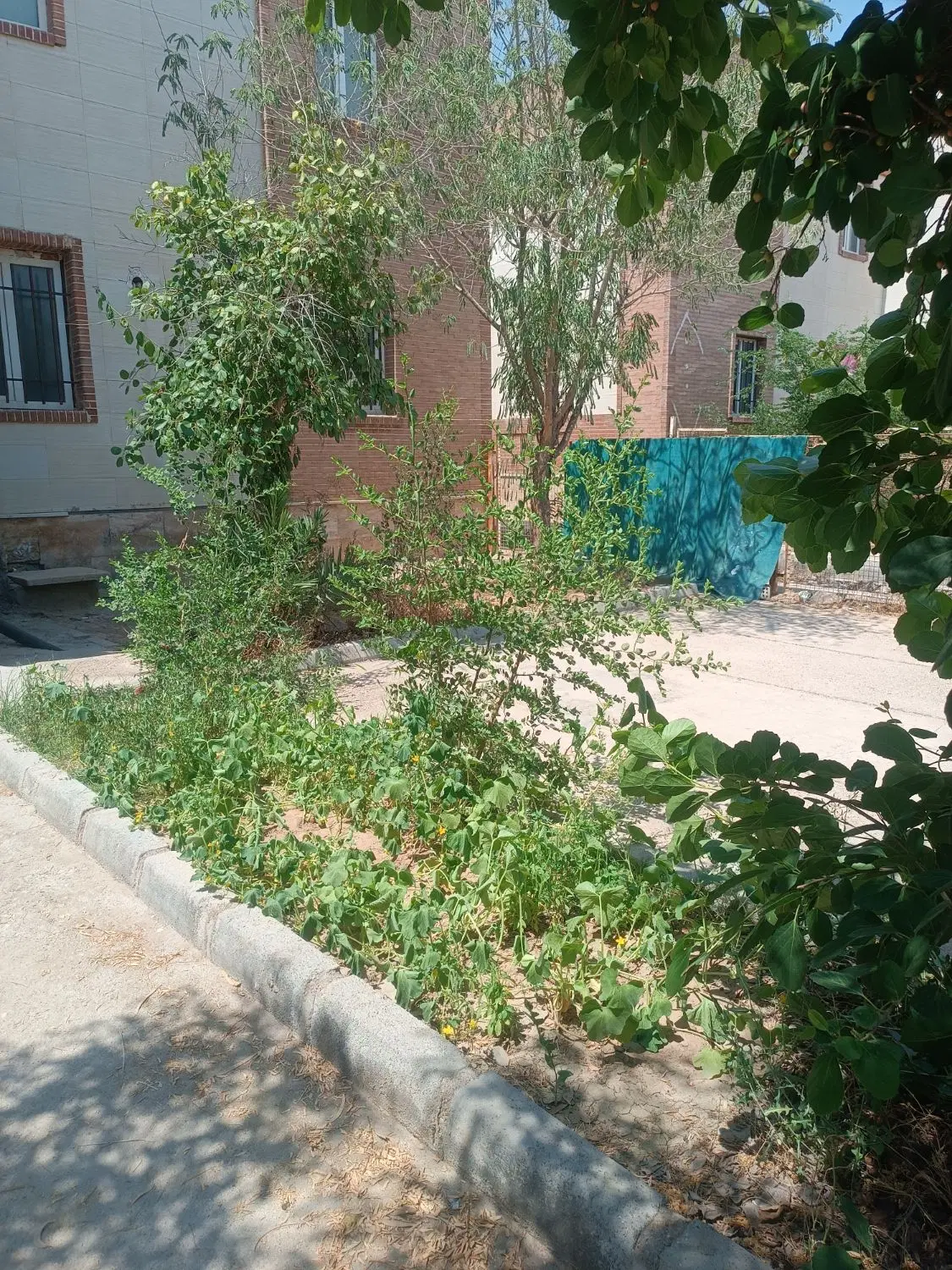 فروش منزل مسکونی