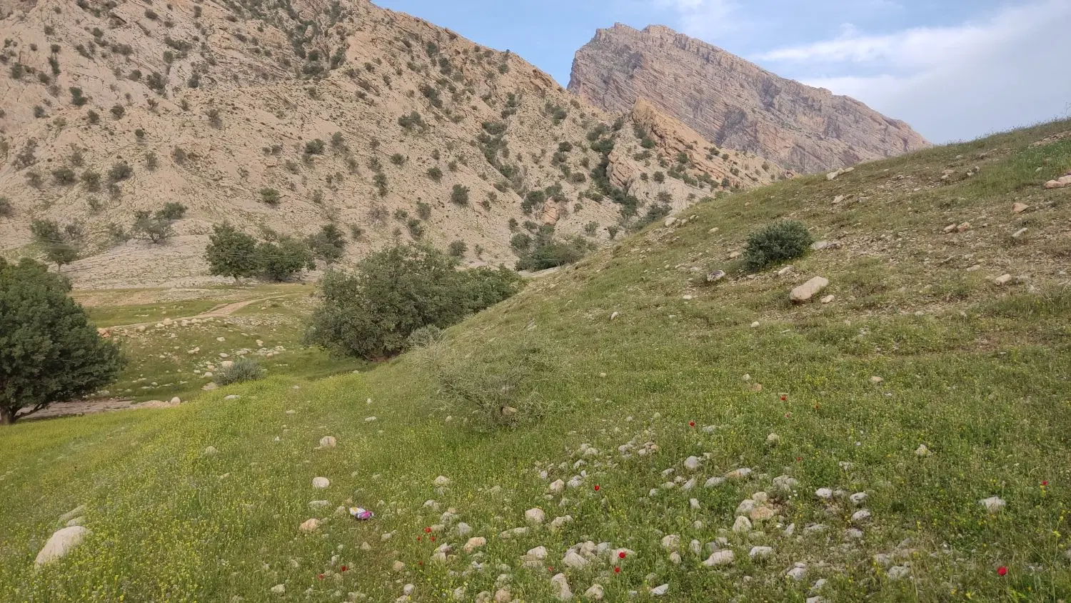 180متر زمین مسکونی