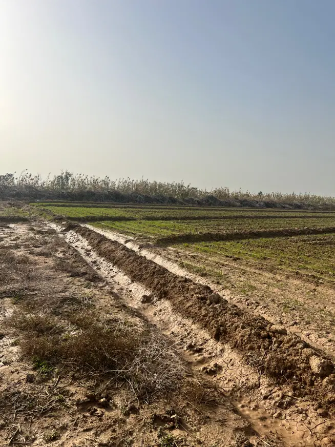 یک هکتاز زمین  سند تک برگ معاوضه