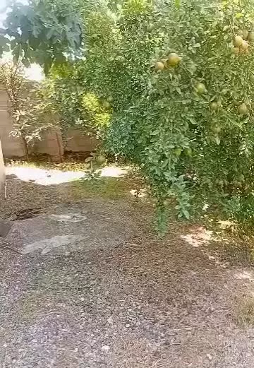 اجاره خانه ویلایی در حومه شهر رشت