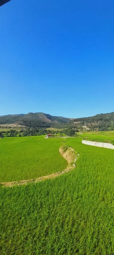 فروش زمین در سراب روستای آغمیون