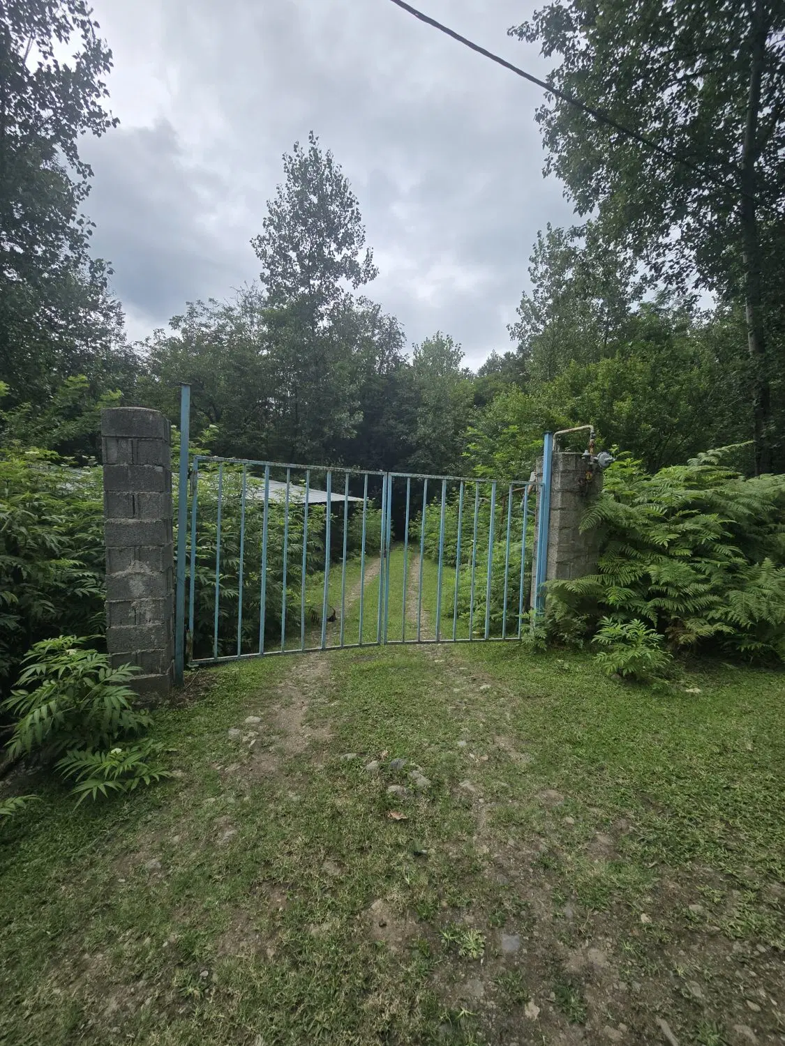 ۶.۵ هکتار تو گوشه دنج طبیعت