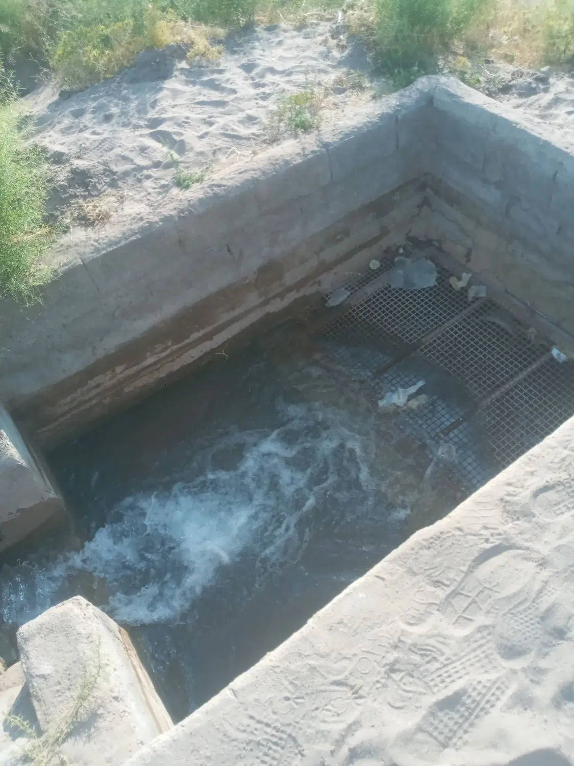 فروش یااجاره باغ پسته