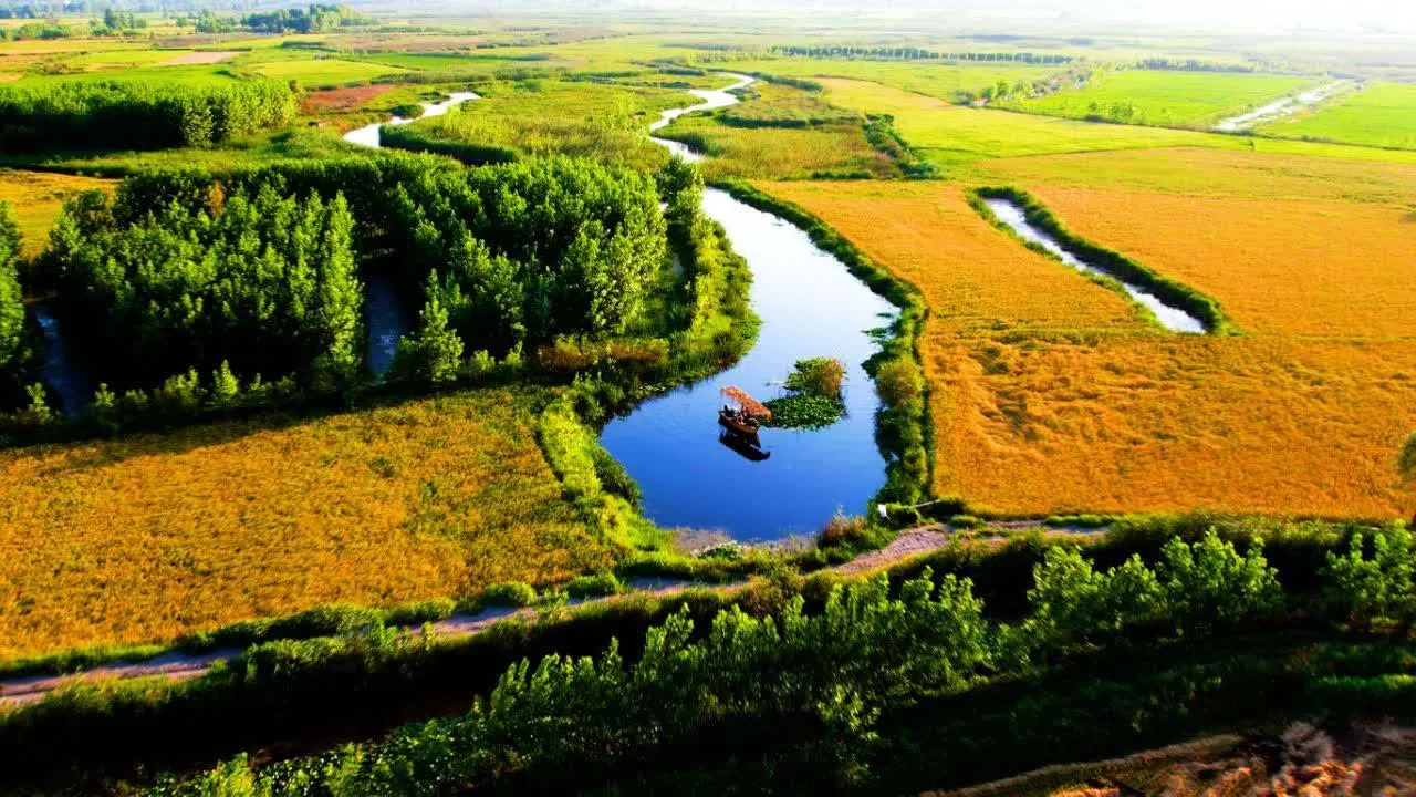 ویلا با سازه های بی نظیر در پروژه ای با سود بالا