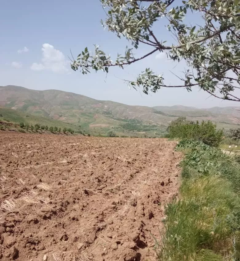 فروش زمین سند ششدانگ