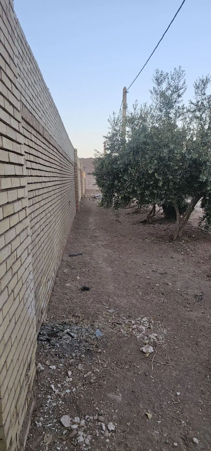 گاوداری در شهرستان تفت(چم)