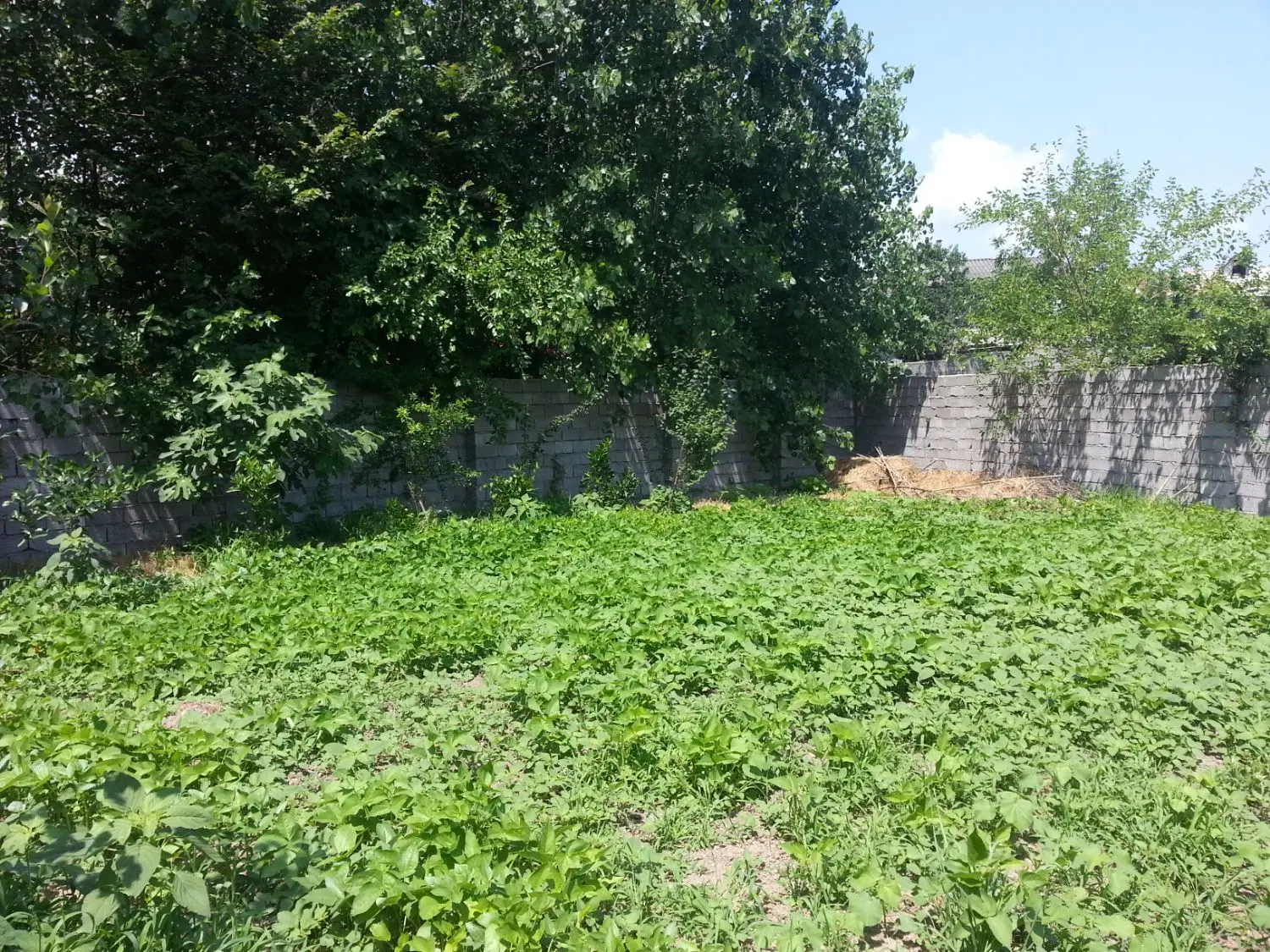 زمین لب دریا
