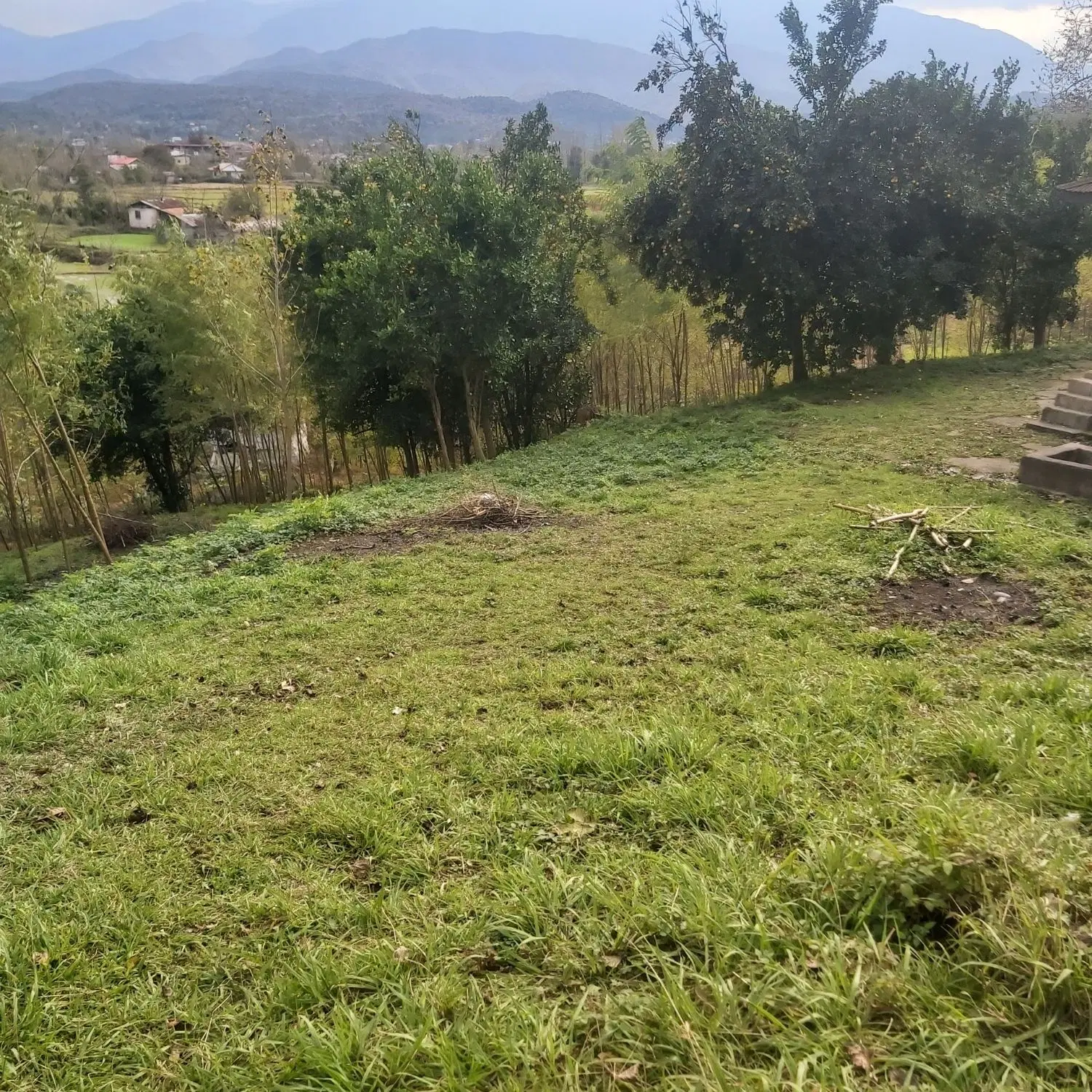 فروش ۵۰۰۰ متر زمین واقع در سراوان روستای گلسرک