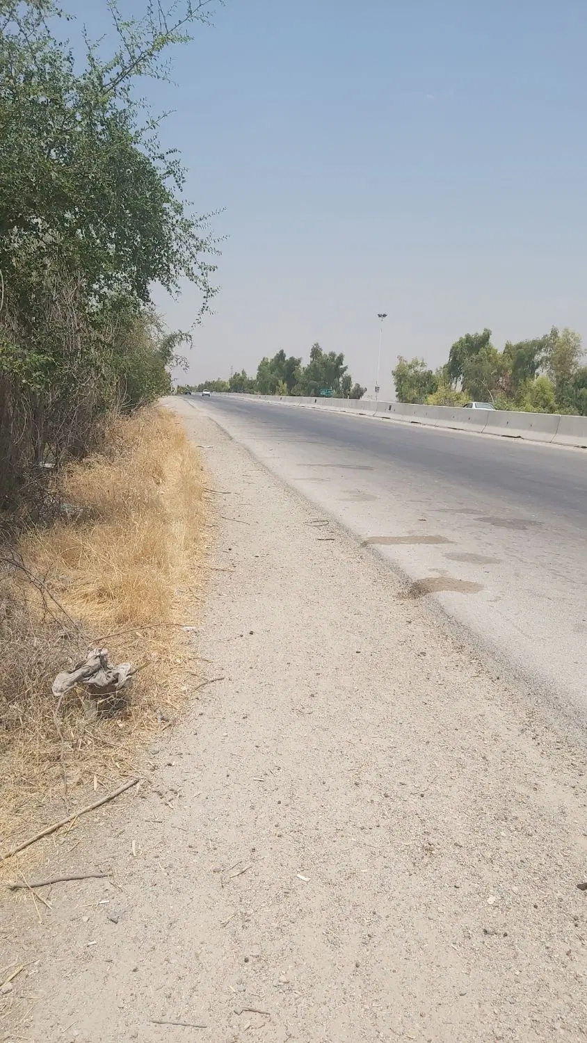 باغچه شهری