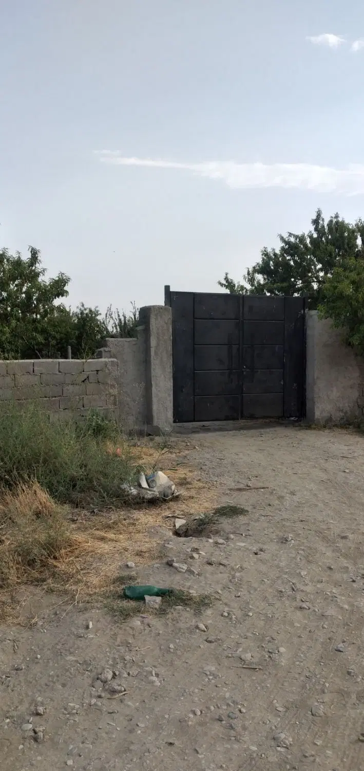 ۳۰۰ متری باغات کمال