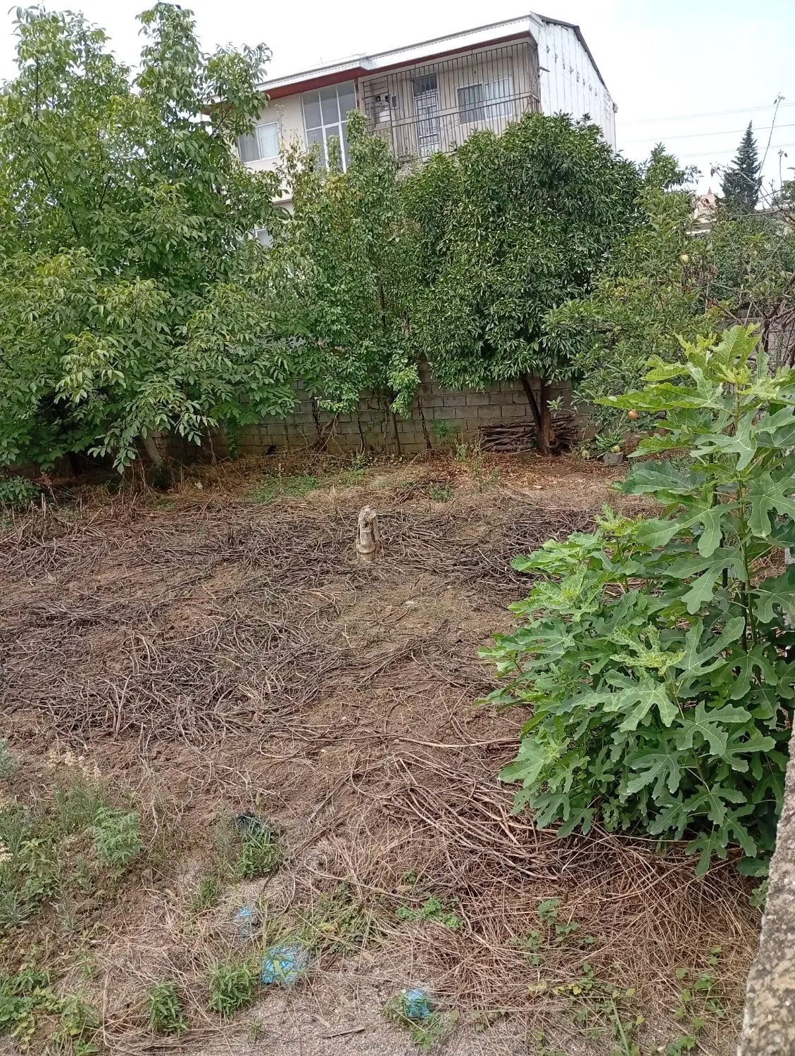 خرید و فروش زمین تجاری خدماتی مسکونی باغ و...